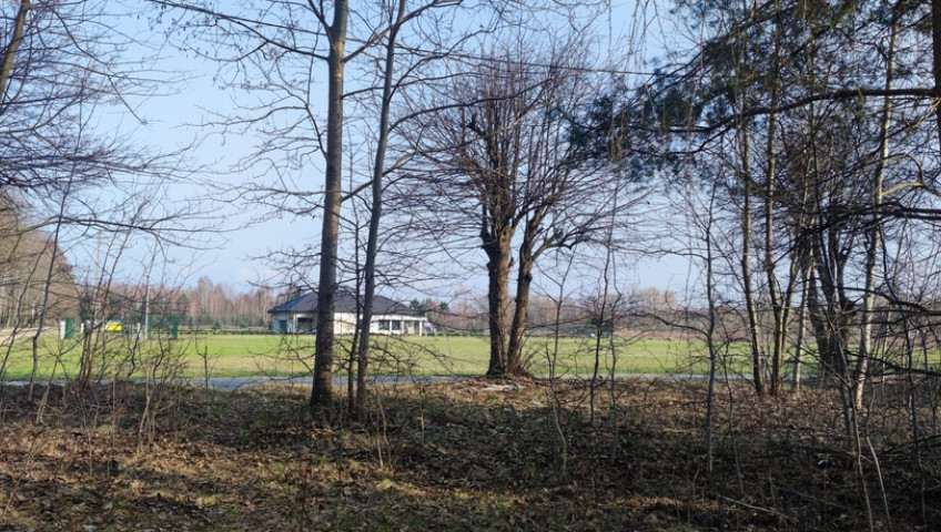 Działka Sprzedaż Borzęcin Duży Spacerowa